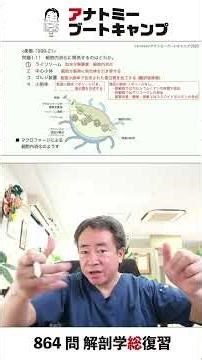 [1-11] Which of the following is related to intracellular digestion?