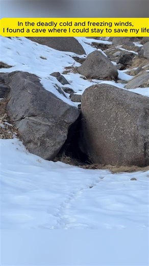 In the deadly cold and freezing winds, I found a cave where I could stay to save my life#survival #camping #bushcraft #shelter #outdoors