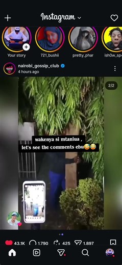 Hugging Trees Challenge in Kenya: A Funny Take