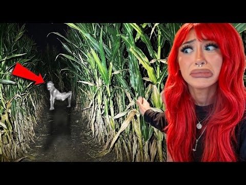 I WENT TO THE SCARIEST CORN MAZE…