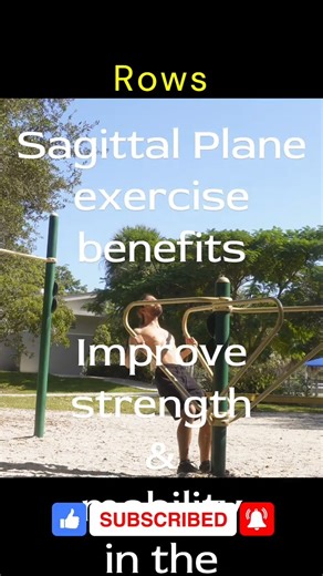 The Sagittal Plane Calisthenics (Movement Fundamentals)