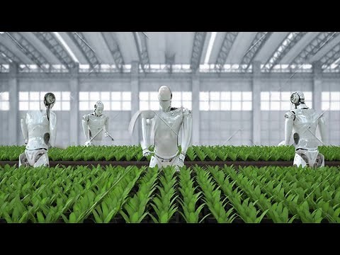 Introduction à l'intelligence artificielle (IA) dans l'agriculture de précision.,