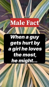 354K views · 678 reactions | When a man gets hurt by a woman he loves the most.... #relationship #relationshipadvice #relationshipfacts #psychology #psychologyfacts #girlfriend #love #crush #malefacts #women #men #usareels #usa #usagirl #trendingreels #trending #reels #fypシviralシ2024 #datingtips #lovetips #datingadvice101 #datingadvice #dating | PSYCH Love FACTS 2.0 | Facebook