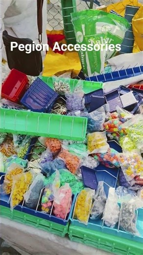 Pegion Acceseries #pigeon #kabutar #accessories #bird