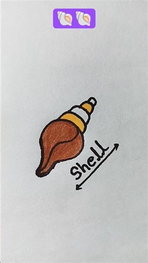 easy drawing of shell 🐚#viral #drawing #shorts #trending