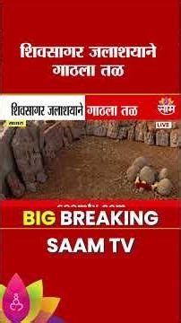 कोयना धरणाच्या शिवसागर जलाशयानं गाठला तळ | Koyna Dam Water Level