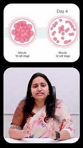 Embryo Development Stages Explained | IVF Transfer Guide | 9M Fertility #shorts #ytshorts #fertility