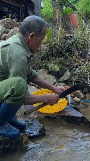 73-Year-Old Man Leaves a Wealthy Life — Catching a Giant Fish in a Wild Pond ( part 4)