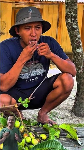 Matoa fruit, a unique fruit from Papua #shortsvideo #gardening #imformation #uniquefacts #fruits