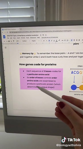 Understanding Genes: Key Concepts Explained