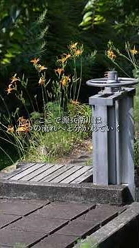 源兵衛川物語（自然分水工の風景）