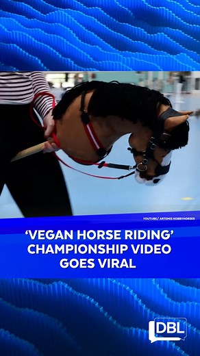 10K views · 39 reactions | A video of the 2023 Finnish Hobby Horse...