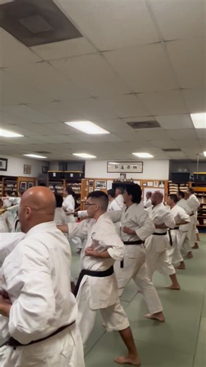 207K views · 5.9K reactions | Fukyu Kata slow training...tonite | Okinawa Goju Ryu Karate Do International | Facebook