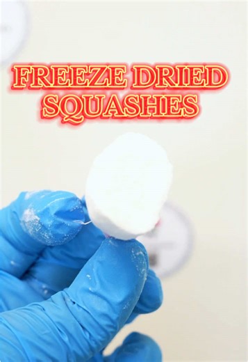 Squashies just got better Yes we did it again Freeze dried a candy and made it 10000x times better Don’t believe search them now and see what everyone is going crazy about #freezefun #fy #freezedriedcandy #squashiescandy #squashies #memorialdayweekend #memorialdaysale #partytime