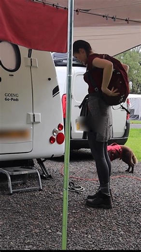 There's not much travelling going on at the moment, but this is how we used to do it 😀🐶 | Roz-Ventures