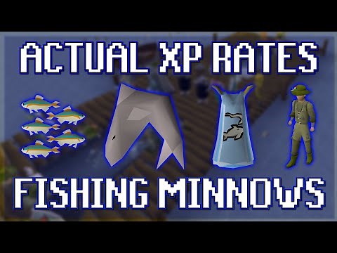 Actual XP Rates for Fishing Minnows in OSRS