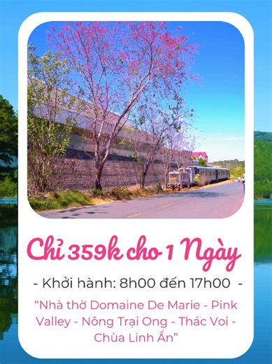❤ Nóng 1000 độ 😍 💘 Tour 1 ngày chỉ với giá 359 cá, đi du ngoạn khắp Đà Lạt 🥰 👉 Inb đi đừng chờ nữa 😍 #sucsongdalat #travel #tour #dalat #2026 #dulich