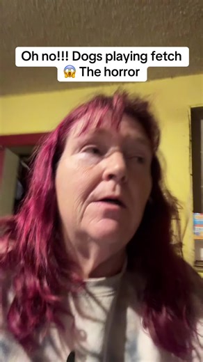 The Ultimate Dog Fetch Fails Compilation