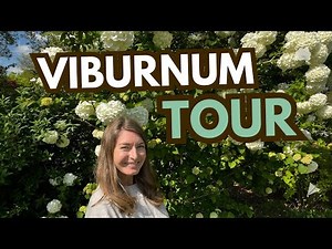 Viburnum Tour