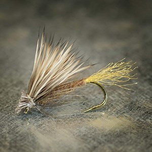 Soft Hackle X Caddis