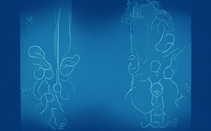 What are the gender roles of the Hmong? [2025] | QAQooking.wiki