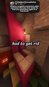 What’s a stupidly expensive adult purchase that you now swear by that you would buy again in a heart