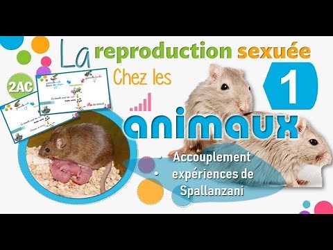 La reproduction sexuée chez les animaux : 1 (2AC)