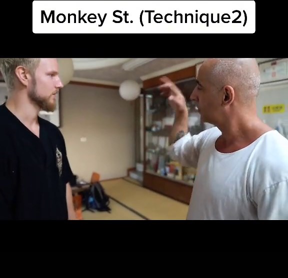 Monkey Style Kung Fu Technique Explained