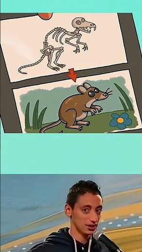 🦖📜⛏️ The Unluckiest Explorer: Dino Discovery Turns Prehistoric Prank! waiting for end!🏺💀🤣