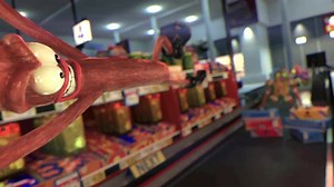 Tach, ihr Luschen! Ich bin die neue BiFi - kaum zu bändigen! | BiFi