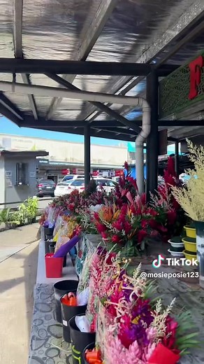 A Relaxing Day Exploring Suva, Fiji