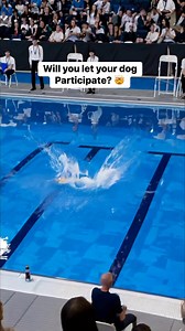 385K views · 272 reactions | World’s most smartest dogs in swimming competition | Chris And Jasmin | Facebook