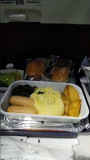 MSR964便・機内食（エジプト航空）