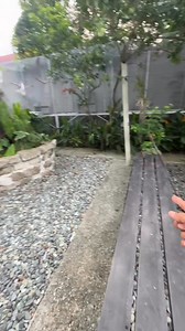 Morning routine balances feeding, cleaning, social interaction, and environmental care to ensure the birds are healthy, happy, and well-stimulated.This routine reflects Myko’s Aviary’s focus on attentive, consistent care and creating a natural, comfortable environment for the birds | Myko's Aviary