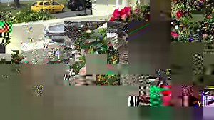 Music with Madge ❤️🎶 Richard said this young female magpie often visits his garden on the Gold Coast for a feed and a warble. 📹: Richard Tommy Campion | ABC Brisbane