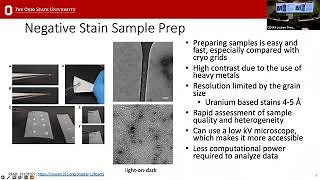 Using Cryosparc V4 To Analyze Negative Stain Data By Center For Electron Microscopy And Analysis Mp3 & Mp4 Download - clip.africa.com