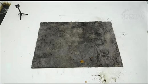 Ultimate Guide to Carpet Cleaning Techniques