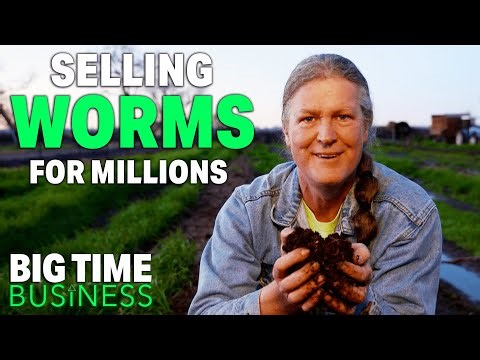 This California Couple Make Millions Selling... Worms? | Big Time Business