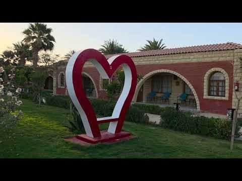 Hotel Aladdin Beach Resort - Hurghada, Egypt - 4K - 27.3.2026