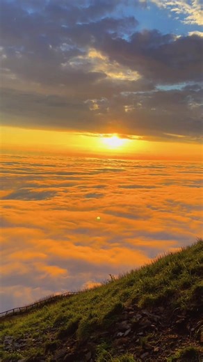 sg0fk4g3k9 on TikTok