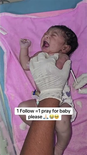 👶 Little Baby’s First 24 Hours After Birth
