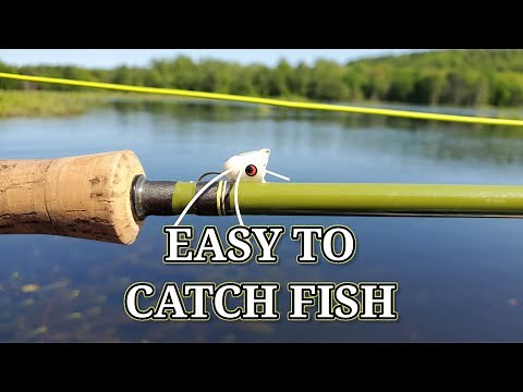How To Catch Fish Using A Popper Fly