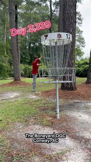 Discmania Skywalker 3 & Link on my 2,339th consecutive day of playing disc golf & growing the sport.