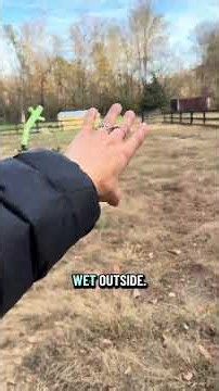 DM on Instagram or TikTok if you're interested in a stall! Also taking out of state horses GA #short