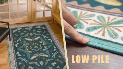 Amazon.com: Hazo Haus 2x4 Entry Way Rugs Indoor - Dark Green Putdoor Rug for Kitchen, Bathroom, Insect Boho Design, Washable Non Slip Stain Resistant : Home & Kitchen