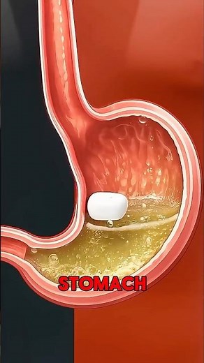 What Happens If You Swallow A Chewing Gum?