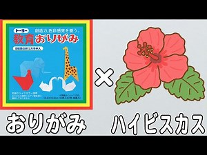 【折り紙】簡単なハイビスカスの折り方 かわいい花の作り方 夏の折り紙 子供でも作れる難しくない作り方【おりがみ】