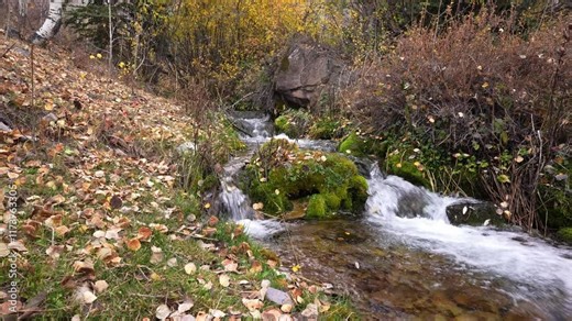 Fast Moving mountain creek runs downhill in the La Sal mountains of Utah in late fall