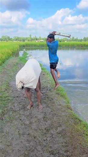 How did the cow come to bathe river #funny #shorts