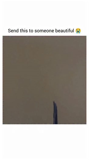 vansh on Instagram: "The Little Rascals (1994) Friendship, mischief, and childhood adventures at their funniest! When the boys of the "He-Man Woman Haters Club" accidentally ruin their go-kart and lose their clubhouse, they must work together to make things right - and maybe learn a little something about love along the way. Main Cast: Travis Tedford | Bug Hall | Brittany Ashton Holmes | Ross Bagley | Blake McIver Ewing Director: Penelope Spheeris Genre: Family | Comedy | Adventure the Our Gang 